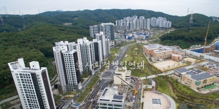 다주택 임대사업자 대출 규제, 부동산 구조 전환의 시험대